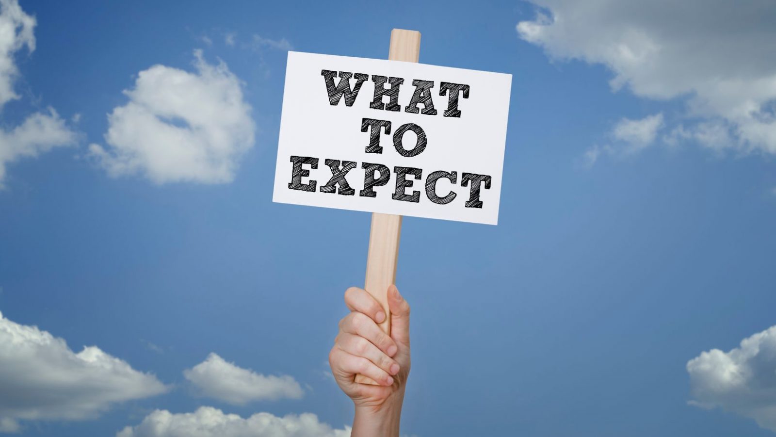 What do you get in return for timeshare maintenance fees?